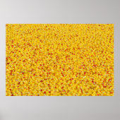 Tausende Enten Poster (Vorne)