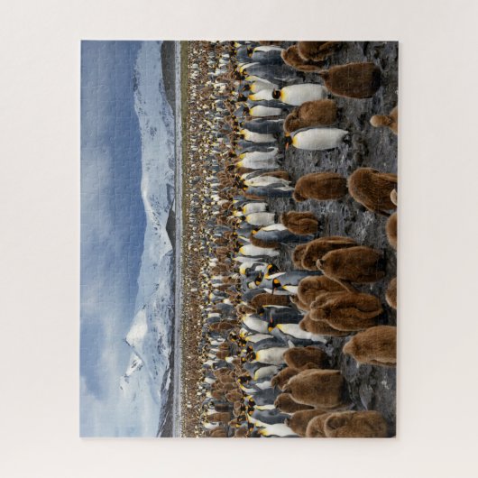 Tausende King-Pinguine auf der Insel South Georgia Puzzle (Vertikal)