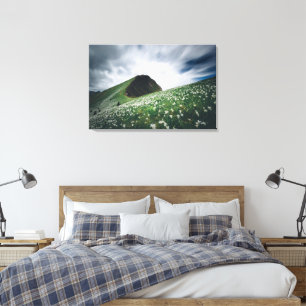 Tausende von Narzissen auf Golica, Slowenien Leinwanddruck