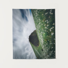 Tausende von Narzissen auf Golica, Slowenien Wandteppich