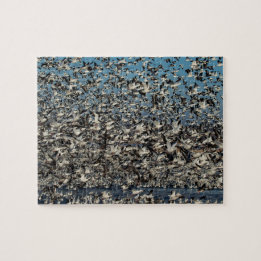 Tausenden Schnee-Gänse Puzzle