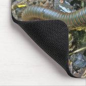 Tausendfüßer (Narceus americanus) Mousepad (Ecke)