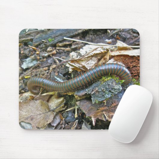 Tausendfüßer (Narceus americanus) Mousepad (Mit Mouse)
