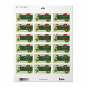 Tausendschön Adressaufkleber (Vorne)