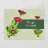 Tausendschön Postkarte (Vorderseite)