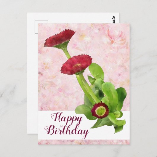 Tausendschön Postkarte (Vorne/Hinten)