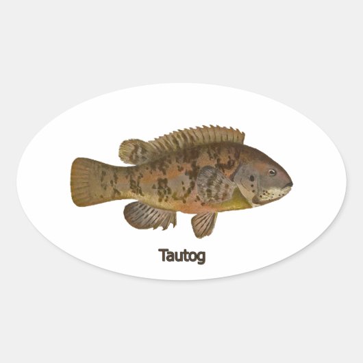 Tautog (Schwarzer Fisch) Ovaler Aufkleber (Vorderseite)