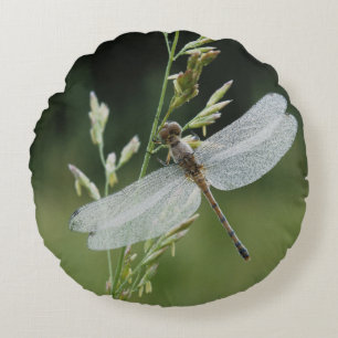 Tautropfen bedeckte Darner Libelle Rundes Kissen