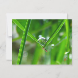 Tautropfen halten Händchen schöne Natur Postkarte