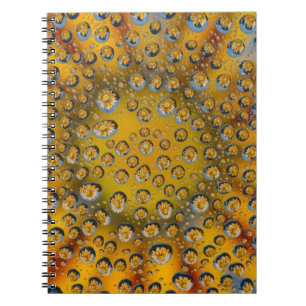 Tautropfen Spiegelung der Blume, Crescent City, Notizblock