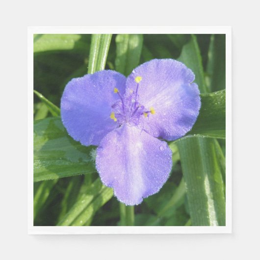 Tautropfen-Trillium-Frühlingswildblume Serviette (Vorderseite)