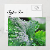 Tauwassertropfen Postkarte (Vorne/Hinten)