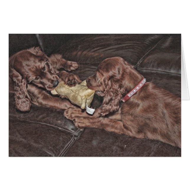 Tauziehen (Vorderseite (Horizontal))