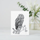 Tawna Owl - leere Postkarte (Stehend Vorderseite)