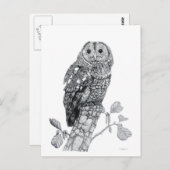 Tawna Owl - leere Postkarte (Vorne/Hinten)