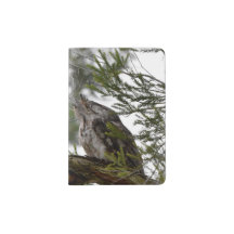 TAWNNY FROGMOUTH OWL LÄNDLICHE QUEENSLAND AUSTRALI