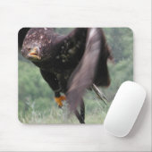 Tawny Eagle Mousepad (Mit Mouse)
