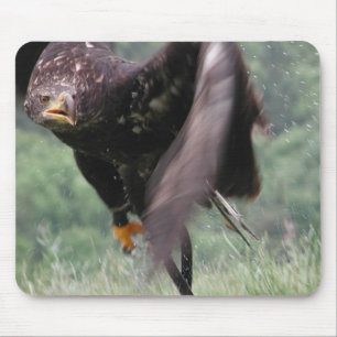 Tawny Eagle Mousepad