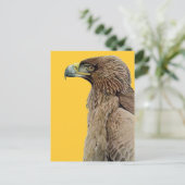 Tawny Eagle Postkarte (Stehend Vorderseite)