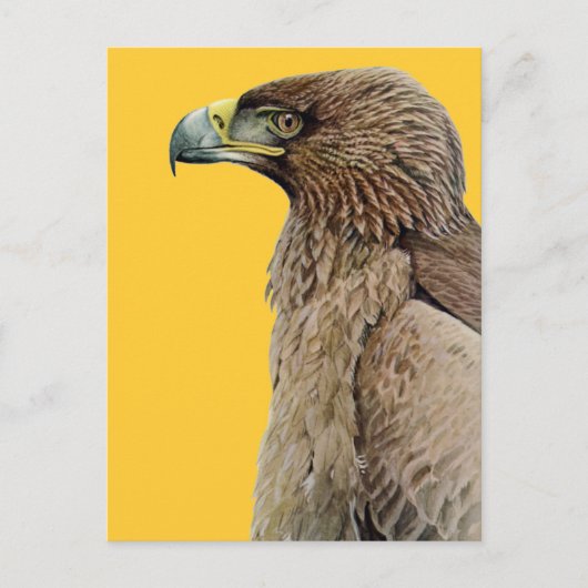 Tawny Eagle Postkarte (Vorderseite)