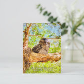 Tawny Frog Mouth Postkarte (Stehend Vorderseite)