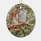 TAWNY FROGMOUTHS QUEENSLAND AUSTRALIEN KERAMIK ORNAMENT (Links)