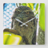 Tawny ist keine Eule Quadratische Wanduhr (Vorderseite)