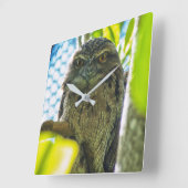 Tawny ist keine Eule Quadratische Wanduhr (Winkel)