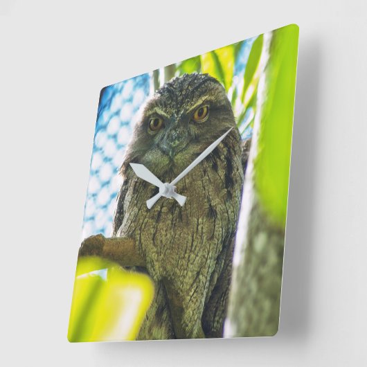 Tawny ist keine Eule Quadratische Wanduhr (Winkel)