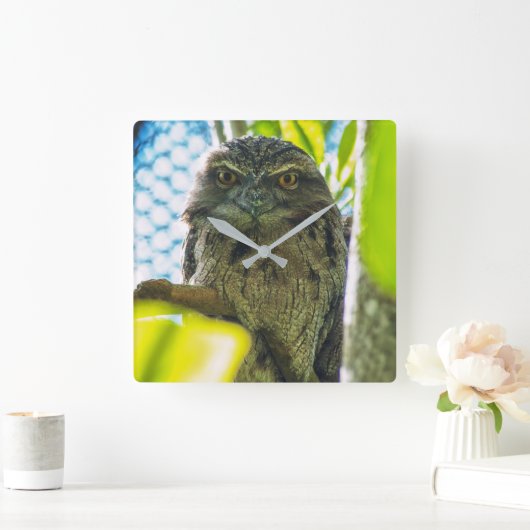 Tawny ist keine Eule Quadratische Wanduhr (Zuhause)