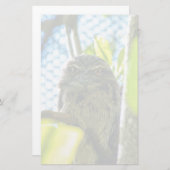 Tawny ist No Owl Briefpapier (Vorne/Hinten)