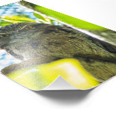 Tawny ist No Owl Fotodruck (Ecke)