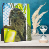 Tawny ist No Owl Fotoplatte (Seite)