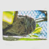 Tawny ist No Owl Golfhandtuch (Horizontal)