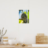 Tawny ist No Owl Poster (Küche)
