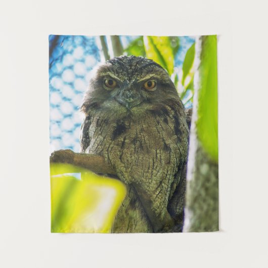 Tawny ist No Owl Wandteppich (Vorderseite)