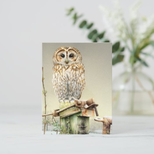 Tawny Owl im Snow Fine Art Aquarellkarte Postkarte (Stehend Vorderseite)