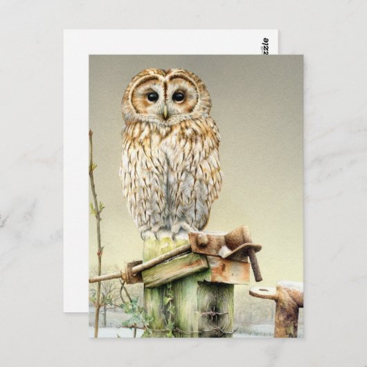 Tawny Owl im Snow Fine Art Aquarellkarte Postkarte (Vorne/Hinten)