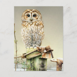 Tawny Owl im Snow Fine Art Aquarellkarte Postkarte