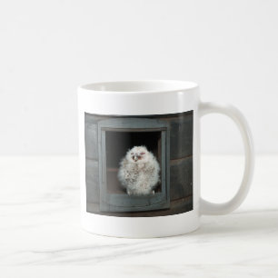 Tawny Owl Kaffeetasse