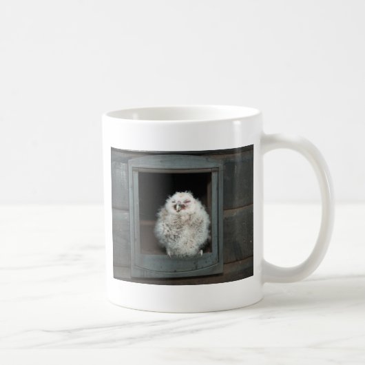Tawny Owl Kaffeetasse (Rechts)