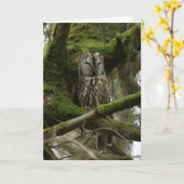 Tawny Owl Karte (Gelbe Blume)