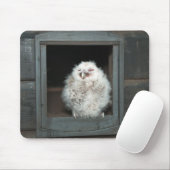 Tawny Owl Mousepad (Mit Mouse)