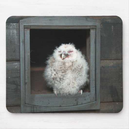 Tawny Owl Mousepad (Vorne)