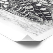 Tawny Owl Pencil Zeichnend Fotodruck (Ecke)