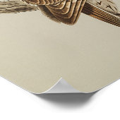 Tawny Owl Perched on Branch Poster (Ecke)