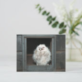 Tawny Owl Postkarte (Stehend Vorderseite)