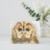 Tawny Owl Postkarte (Stehend Vorderseite)