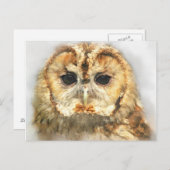 Tawny Owl Postkarte (Vorne/Hinten)