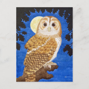 Tawny Owl Postkarte